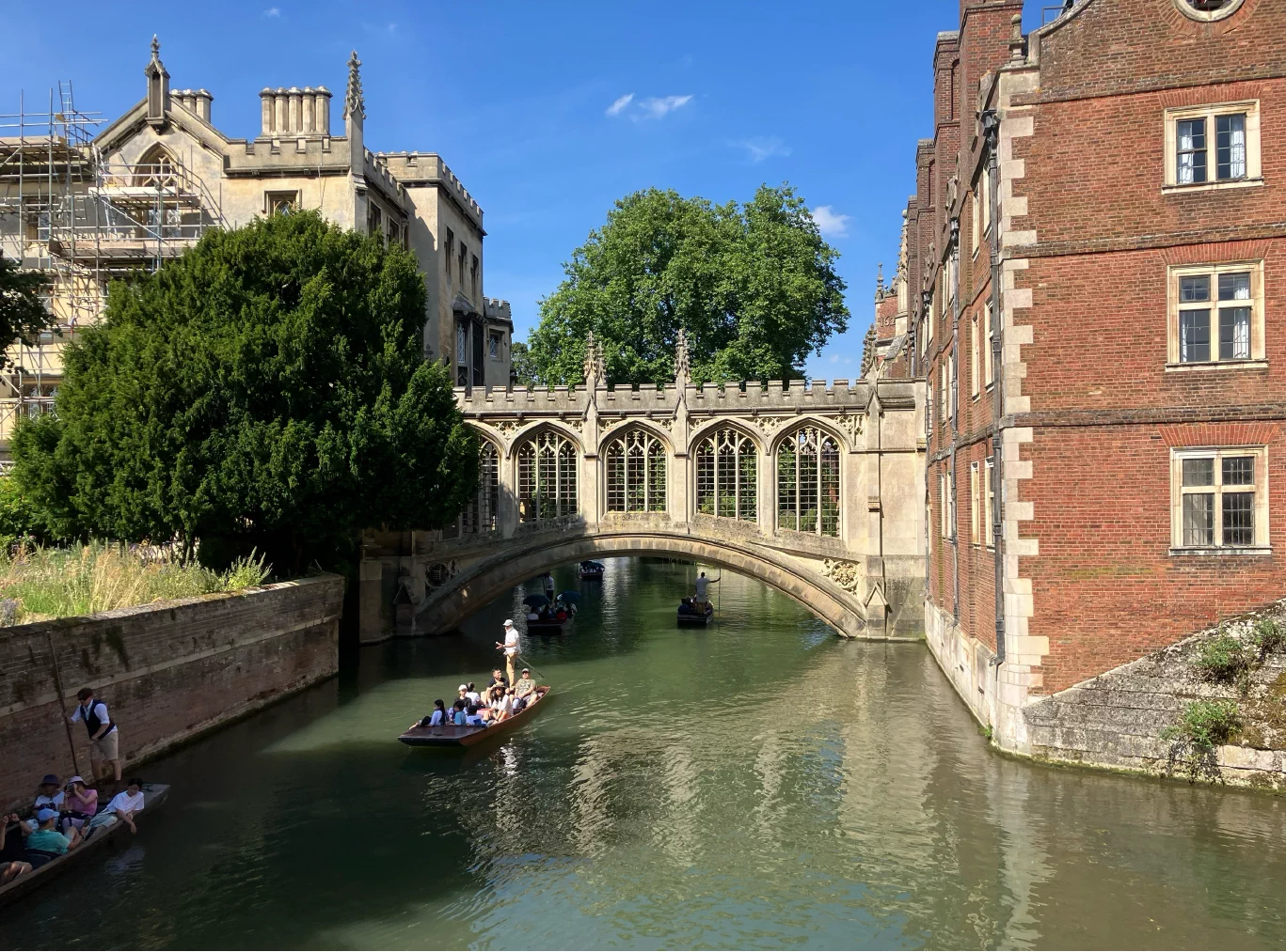 2024 年FOS 夏の交流会 in Cambridge,UK イメージ